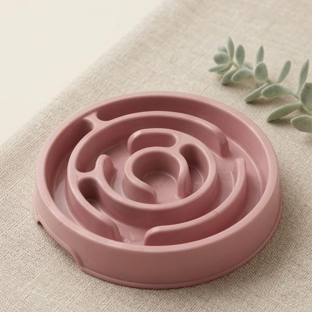 Gamelle anti-glouton pour chien et chat – Ralentit les repas