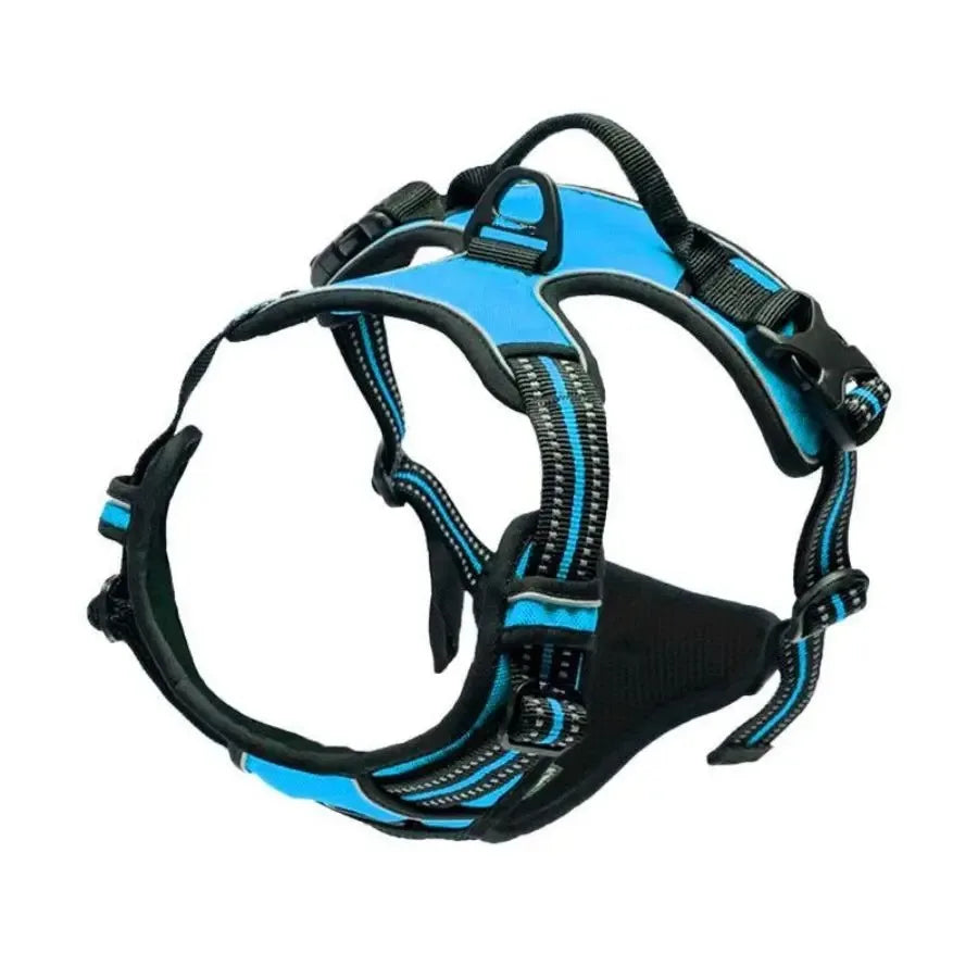Harnais Anti-Traction Premium pour Chien | Confort, Sécurité & Contrôle Optimal.