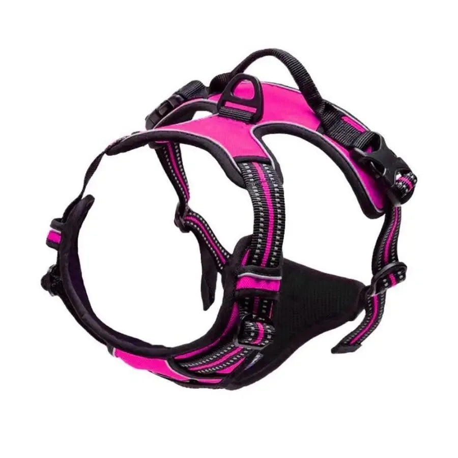 Harnais Anti-Traction Premium pour Chien | Confort, Sécurité & Contrôle Optimal.