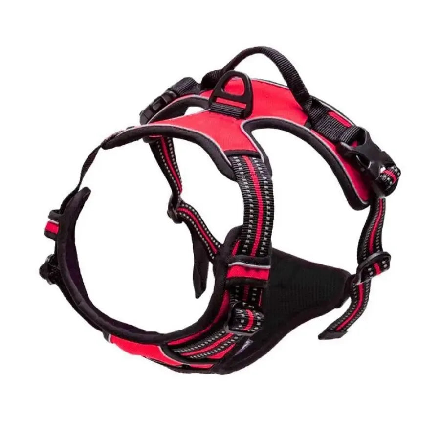 Harnais Anti-Traction Premium pour Chien | Confort, Sécurité & Contrôle Optimal.