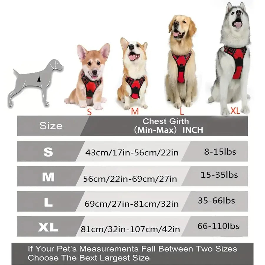 Harnais Anti-Traction Premium pour Chien | Confort, Sécurité & Contrôle Optimal.