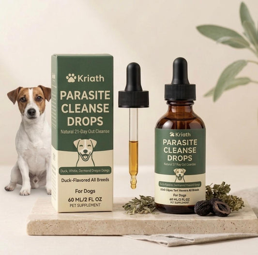 Gouttes anti parasites  Chien – Confort Digestif & Soutien Immunitaire | Formule Naturelle Arôme Canard