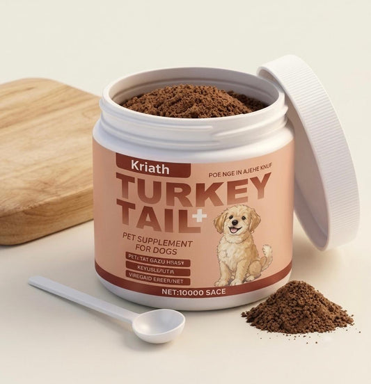 Immunité Chien Senior 100 g – Poudre Arôme Bacon au Reishi & Probiotiques | Défenses & Digestion