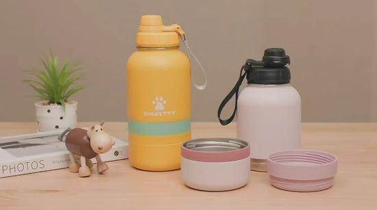 Vidéo de démonstration de la gourde isotherme 2-en-1 pour chien PET SHOP
